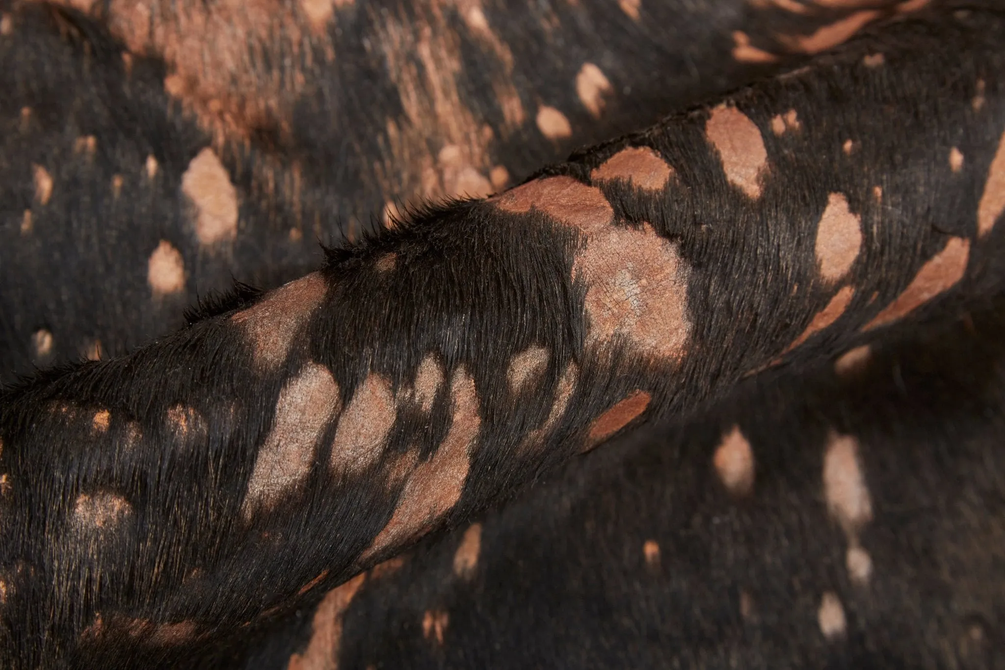 Ellyse ELLRAIND Copper Rug