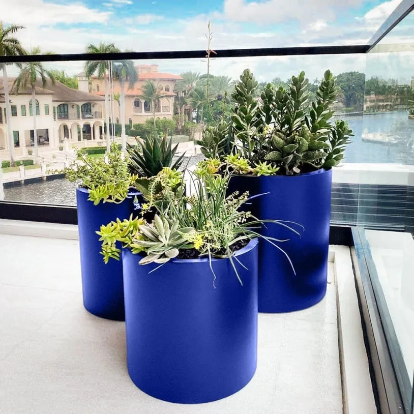 Jay Scotts Planters