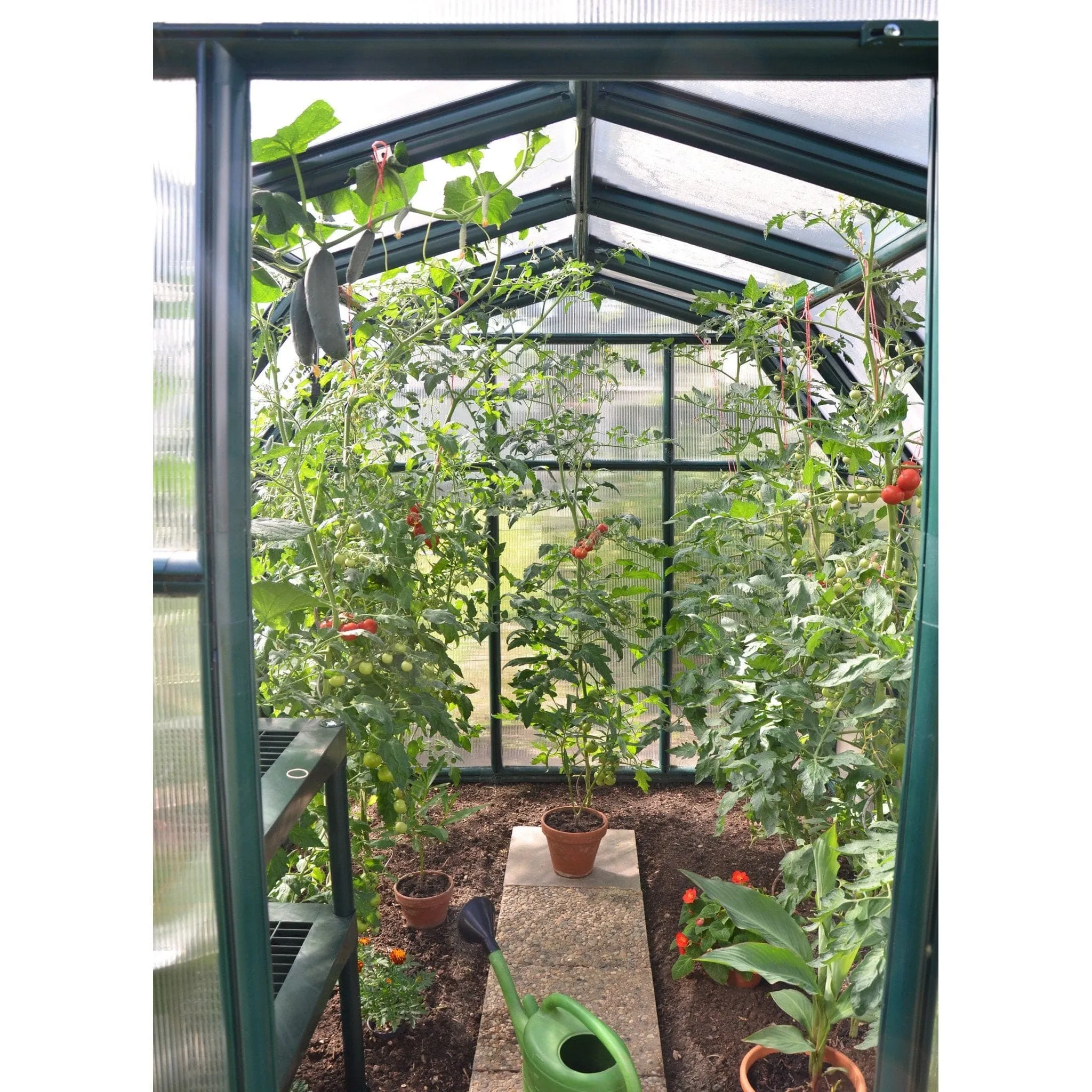 Palram - Canopia | EcoGrow Greenhouse Kit - 6 Ft Wide - Green With 6mm Twin-wall Polycarbonate Glazing