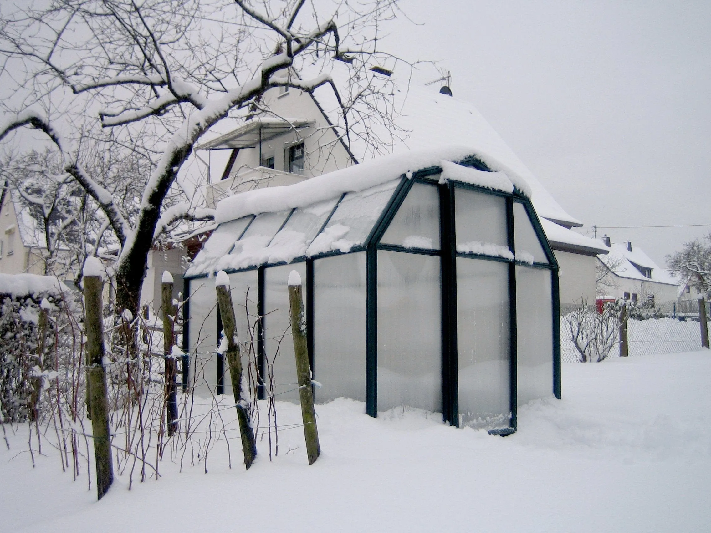 Palram - Canopia | EcoGrow Greenhouse Kit - 6 Ft Wide - Green With 6mm Twin-wall Polycarbonate Glazing