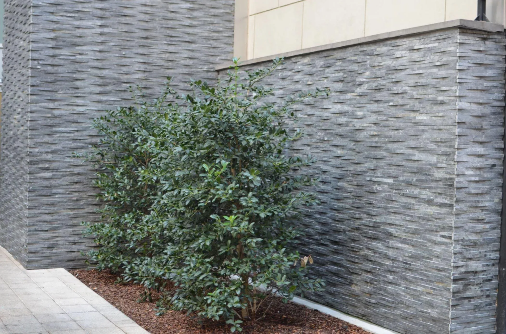 Rustic Cladding