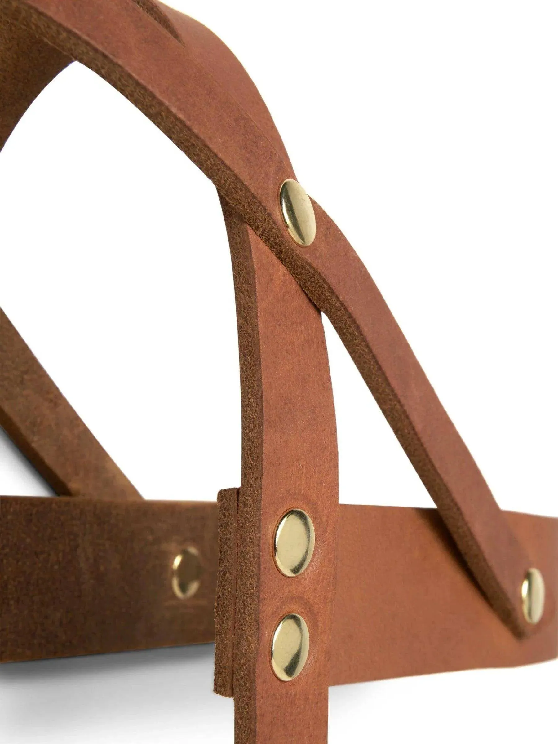 [SAHARA COGNAC] BUTTER LEATHER DOG HARNESS