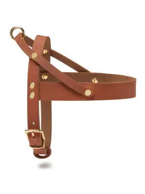 [SAHARA COGNAC] BUTTER LEATHER DOG HARNESS