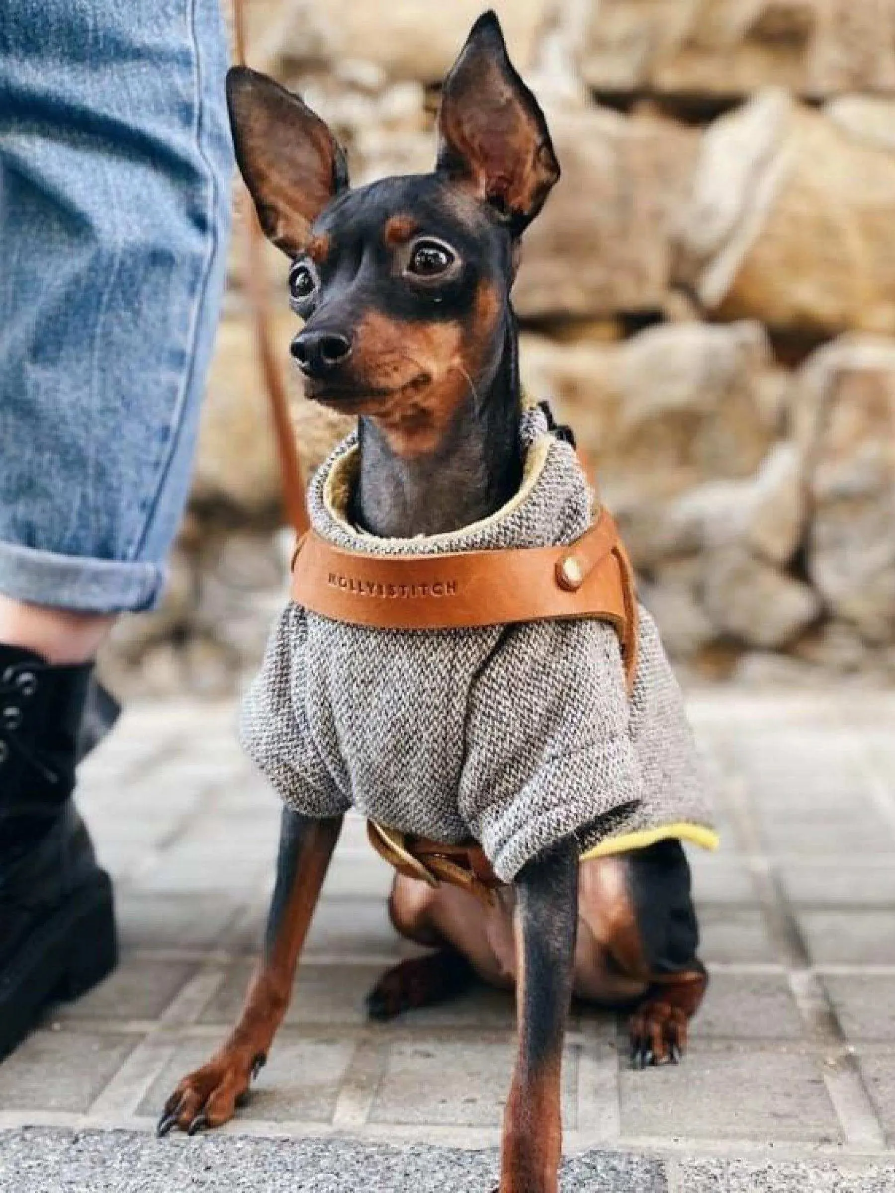 [SAHARA COGNAC] BUTTER LEATHER DOG HARNESS